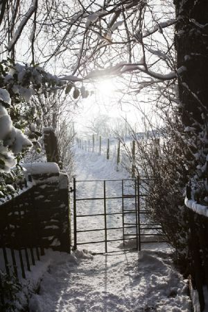 haworth graveyard jan 22 2013 1 sm.jpg